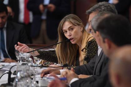 Juliana Di Tullio, en el Congreso