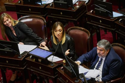 Juliana Di Tullio (izquierda) y José Mayans (derecha), presidentes de los dos bloques del kirchnerismo en el Senado
