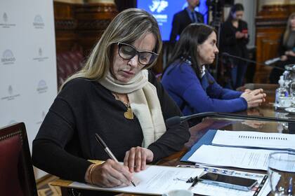 Juliana Di Tullio, la senadora kirchnerista que pide un refuerzo de ingresos para personas indigentes