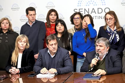 Juliana Di Tullio, Mariano Recalde y José Mayans, presidente del bloque de Unión por la Patria en el Senado