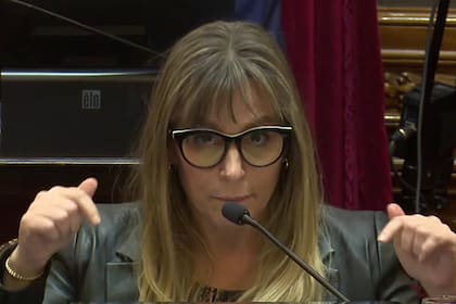 Juliana Di Tullio, senadora del Frente de Todos por Buenos Aires