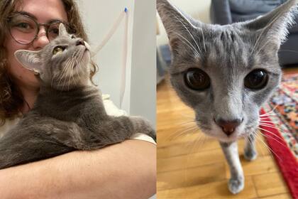 Juliana Kaplan temía que un aumento de alquiler la dejarán a ella y a su gato sin hogar