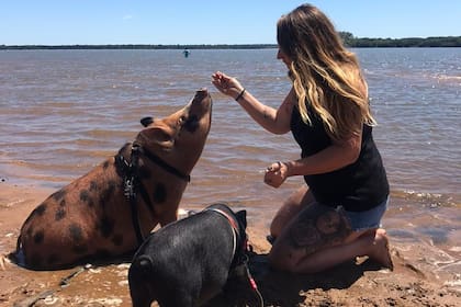 Julieta Demarco son sus chanchas Pochi y Cuba; además tiene dos hijos, cuatro gatos y un perro