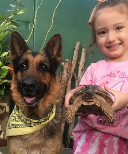 Julieta es fanática de los animales y quiere ser veterinaria. En su casa tiene dos perros, dos tortugas y una gatita
