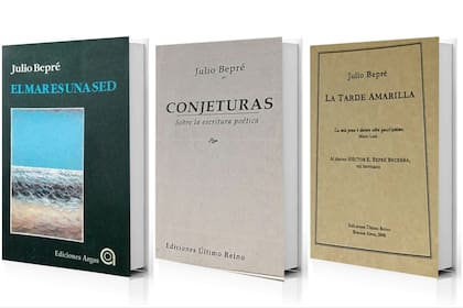Julio Bepré publicó varios poemarios, ensayos y un libro de memorias