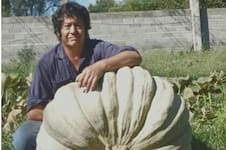 “Esto no es casualidad”: cosechó un zapallo gigante, sorprendió a su pueblo en un festejo y lo regaló