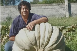Cosechó un zapallo gigante, sorprendió a su pueblo en un festejo y lo regaló