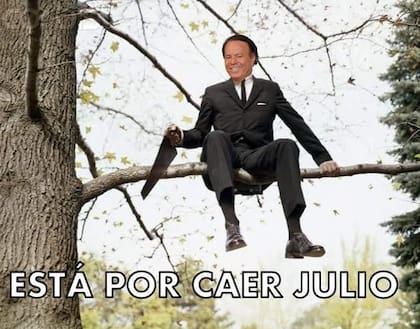 Julio Iglesias, el indiscutido protagonista de los memes