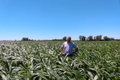 El consultor Julio Lieutier
