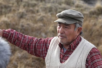 Julio Pedraza y su mujer, están jubilados y cuidan por su cuenta a sus 200 ovejas