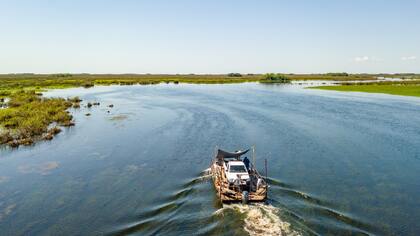 Junta de Alondra y Coco en Iberá
