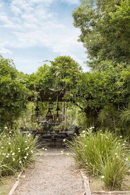 Junto a la casa, Sonia construyó una pérgola. La sombra espesa de la glicina da la sensación de estar en un claro del bosque.