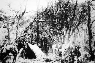 El robo de los caballos blancos del coronel Conrado Villegas