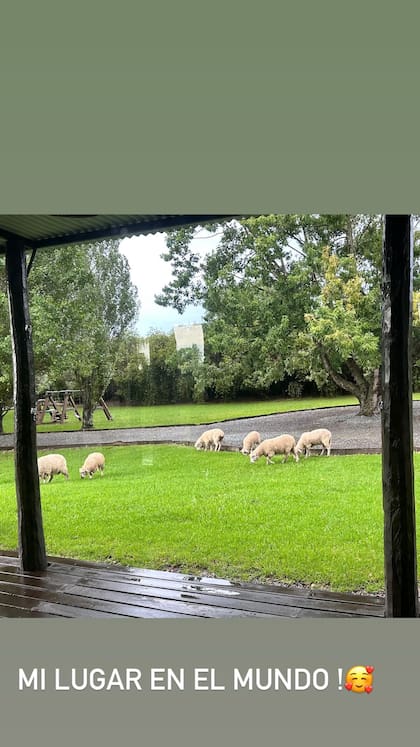 Junto a las ovejas, Nicole indicó que el campo es su lugar en el mundo
