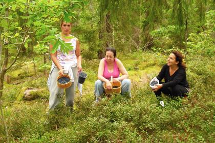 Junto a sus amigas latinas: “Desde hace catorce años vivimos en el pueblito de Orrefors, rodeado de bosques que nos dan arándanos azules y rojos, zarzamora y frutillas silvestres en verano y cinco variedades deliciosas de hongos comestibles en el otoño".