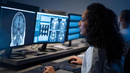 Junto con las neuronas, los investigadores descubrieron que los astrocitos juegan un rol fundamental en el almacenamiento de recuerdos