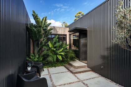 "Junto con las paisajistas Paula Rial y Mercedes Kicelian creamos un espacio verde colmado de especies selváticas que cumplen el doble rol de embellecer el entorno e integrar el interior con el acceso principal".