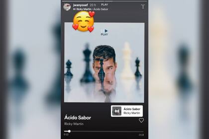 Jwan Yosef compartió en su cuenta de Instagram una canción de su marido Ricky Martin (Foto: Instagram @jwanyosef)