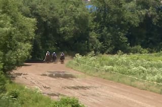 El caballo que viajó 10.000 km, saltaba charcos en una pista precaria y correrá por 7 millones de dólares