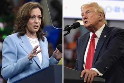 Kamala Harris y Donald Trump se enfrentarán en las urnas este 5 de noviembre de 2024 (AP Photo)