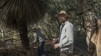 Karen Burke Da Silva y Julian Beaman examinan un árbol quemado dentro de The Koala Sanctuary en Isla Canguro