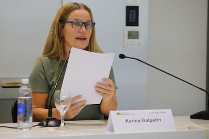 Karina Galperín, directora académica de la Maestría LN/UTDT