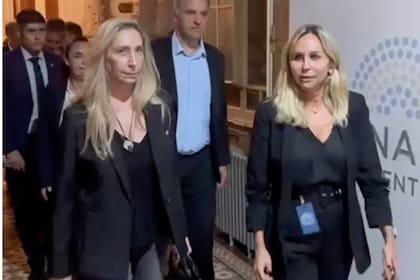 Karina Milei llega la senado
