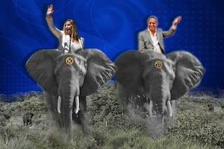 Daniel Scioli y la saga de las elefantas rescatadas para alegría de Karina Milei