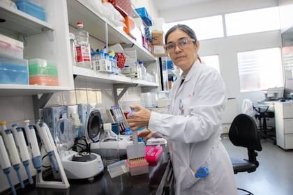 Karina Trono, directora del Instituto de Virología del INTA, una de las investigadoras que se manifestó en contra de la reforma del ente