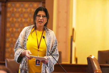 Karina Villa aseguró que esta medida ubica a Illinois como un referente en políticas medioambientales a nivel nacional (Imagen de Illinois Senate Democratic)