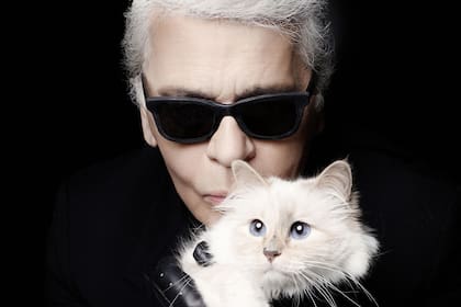 Karl Lagerfeld hizo millonaria a su gata Choupette con increíbles contratos y publicidades