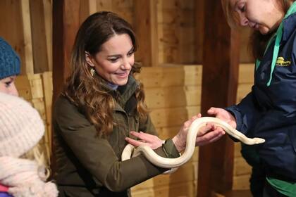 Kate Middleton en su visita a la Ark Open Farm en Belfast
