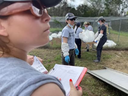 Kate Spradley (en el centro) e Ivanna Robledo (en primer plano), en Freeman Ranch descargando cadáveres de migrantes procedentes del condado de Maverick, en Texas