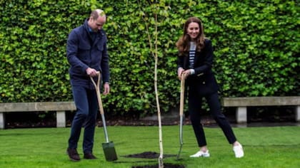 Kate y William en los jardines de la Universidad de St. Andrews donde se conocieron hace veinte años atrás.