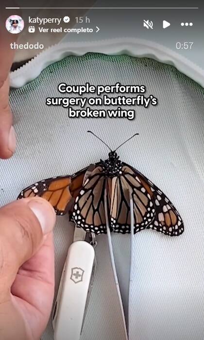 Katy Perry compartió el video ante sus millones de seguidores