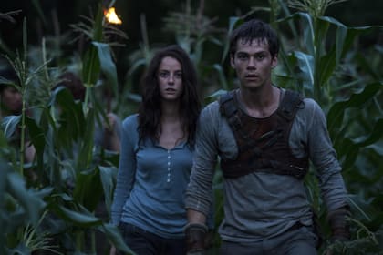 Kaya Scodelario y Dylan O'Brien protagonizan Maze Runner (Foto: IMDb)
