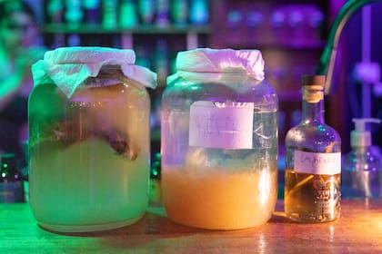 Kéfir y otros fermentos que hacen de Hevristika una barra con encanto.