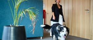 Es argentina y la insólita razón por la que se fue con su perro a Silicon Valley