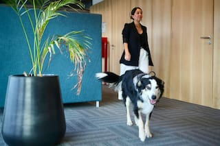 Es argentina y la insólita razón por la que se fue con su perro a Silicon Valley