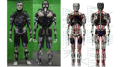 Kengoro es un robot humanoide que intenta simular la movilidad humana