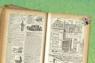 Un tiempo compartido llamado naturaleza