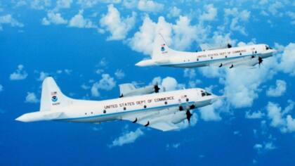 Kermit y Miss Piggy siguen volando.