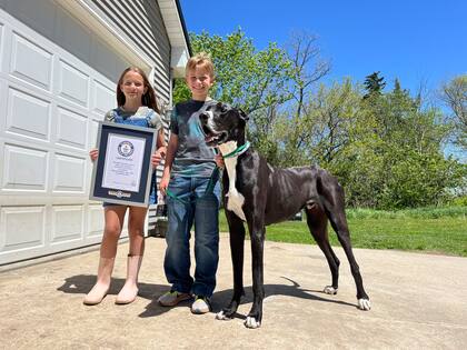 Kevin junto a los niños de la familia Wolfe. Foto: @GWR