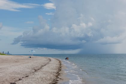 Key Biscayne Beach, en Florida, en julio de 2023, cuando se registró un récord de calor del agua en la zona.  (Alfonso Duran/The New York Times)