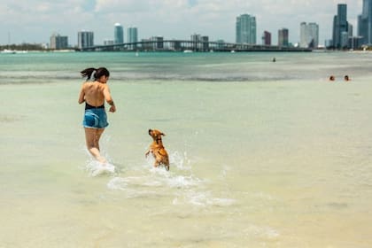 Key Biscayne es una de las playas poco conocidas de Miami parecido al Mar Caribe (Sitio web Gran Miami y Miami Beach)