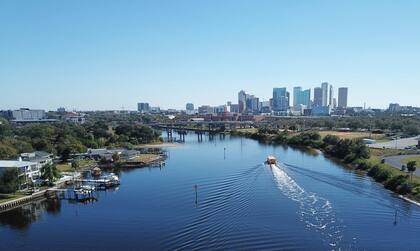 Key West aplica multas por alimentar a este animal callejero