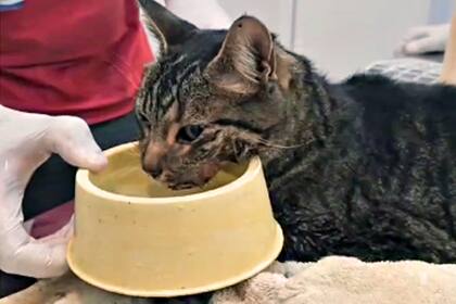 Kiara respondió pronto cuando le pusieron agua y alimento a su alcance