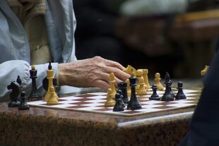 Actividades lúdicas como los crucigramas, sopa de letras, sudoku, rompecabezas, laberintos o ajedrez desafían al cerebro