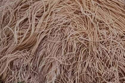 Kilogramos de pasta fueron arrojados en un bosque de Nueva Jersey