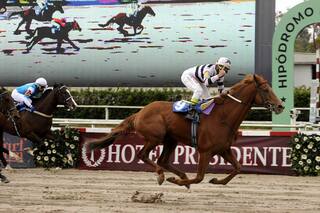Carreras de las Estrellas. Las historias y ganadores de la serie de Palermo